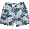 Pánské boardshorts JUNGLE J20522C